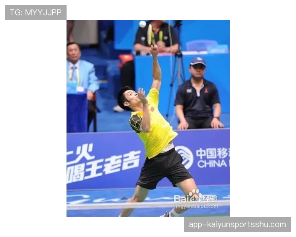 场上出现外物时裁判为何判罚不同？外物入场规则全解析